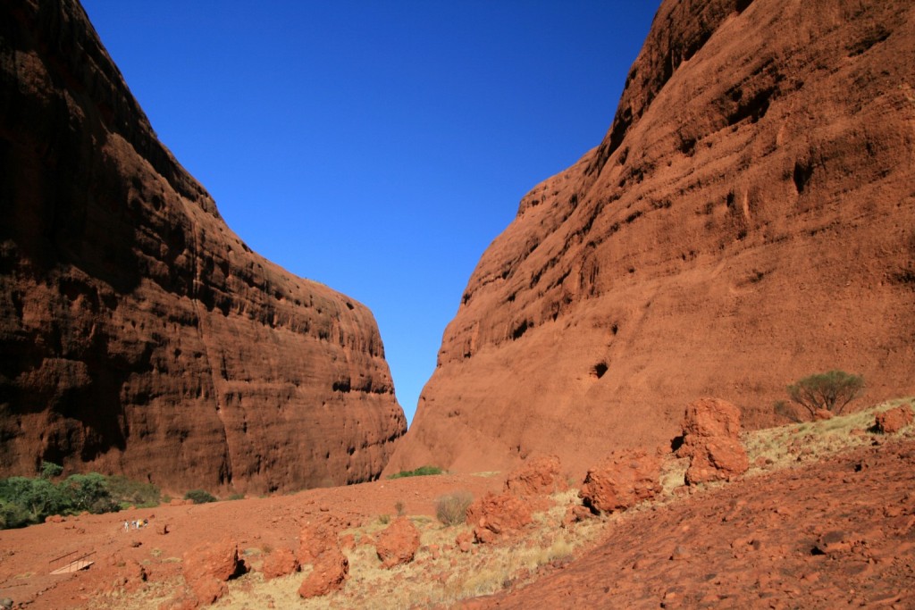 OLGAS 